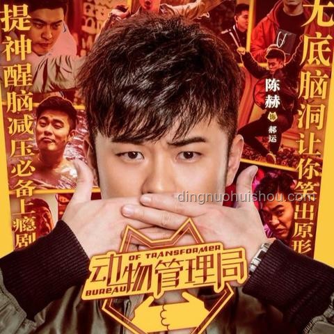 “讨厌选择，全买了”背后的消费新趋势与行业洞察